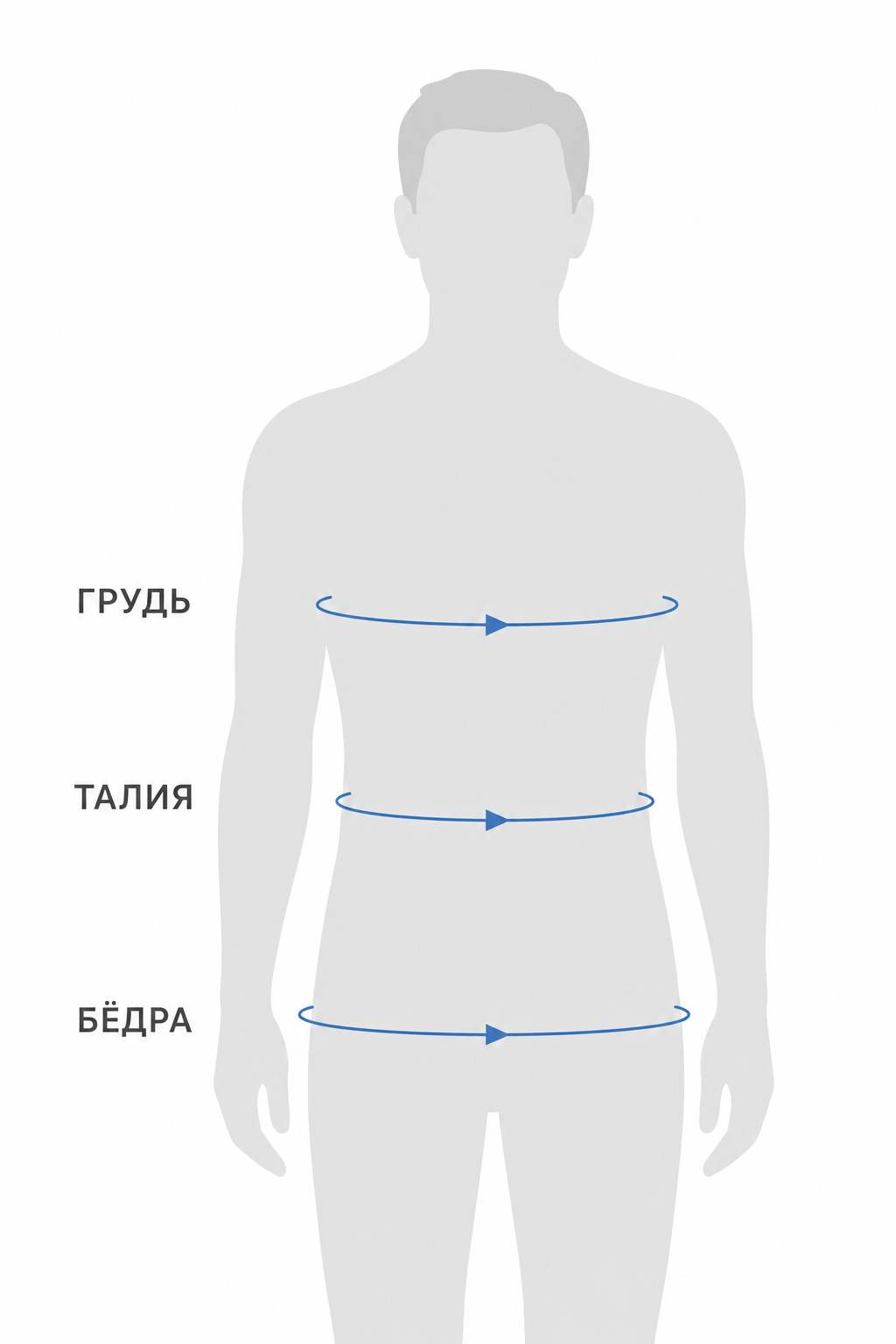 Как измерить талию и бедра