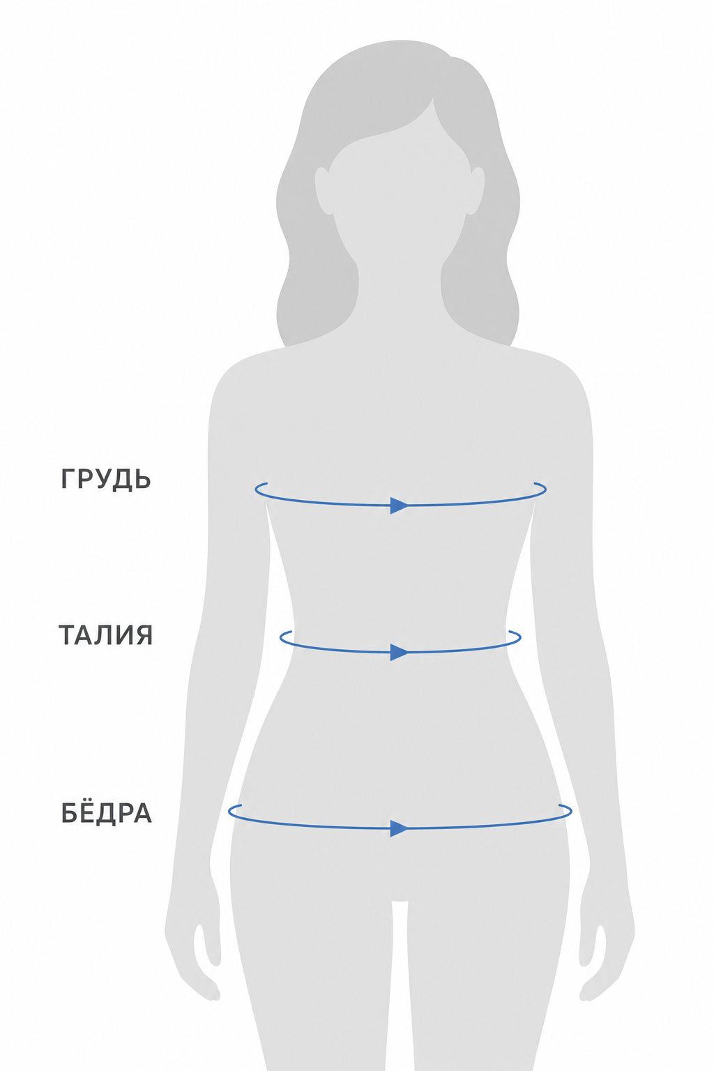 Как измерить грудь и талию